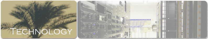 Information Technology Services and Consulting Practice Area