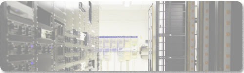 Information Technology Services Practice Area